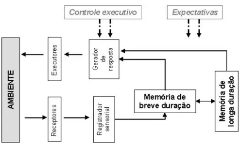 Figura 1 – Modelo básico de aprendizagem e memória subjacente nas teori- teori-as modernteori-as de “processamento de informação”