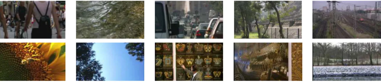 Figure 3.5: Sample images of source video contents from LIVE database.