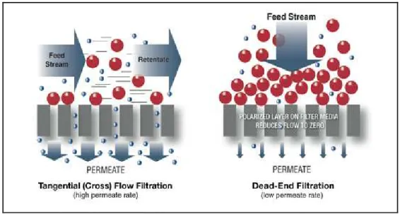 Figura 7 . Esquema ilustrativo dos tipos de filtração: tangencial (à esquerda) e convencional ($ +, )
