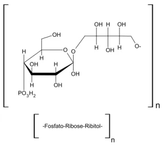 Figura 1 . Estrutura química da cápsula polissacarídica (PSb) de   tipo b. 