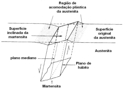 Figura 2 - Esquema de cisalhamento e de inclinação  da superfície associada à formação de uma placa de martensita.