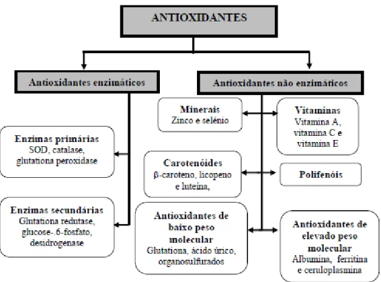 Figura 7.7 - Classificação dos antioxidantes. Adaptado de (Ratnam et al., 2006 e Wanh et al., 1996)
