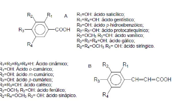 Figura 10.10- Estruturas químicas dos ácidos fenólicos: A – ácidos hidroxibenzóicos; B – ácidos  hidroxicinâmicos (Soares, 2002)