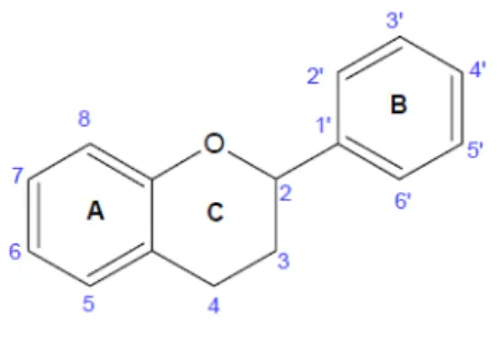 Figura 12.12 - Estrutura base dos flavonóides composta por dois anéis benzénicos (A e B) ligados  através de um anel pirano (C) (Tomás-Barberán et al., 2000)