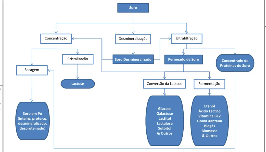 Figura I.3 - Esquema resumo dos principais tratamentos aplicados ao soro e seus produtos  Adaptado de Bylund (1995) e Siso (1996)