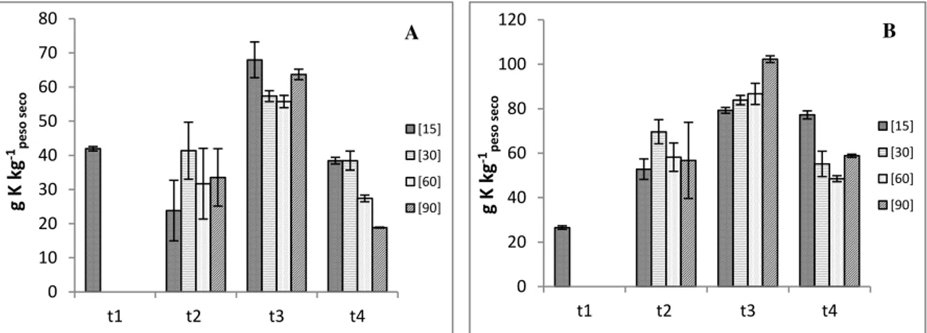 Figura 3.21  –  Concentração de potássio na raiz (A) e parte aérea (B) e respetivo erro padrão       (n = 3), para cada concentração e colheita