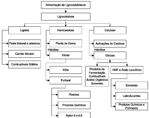 Figura 1. 4- Biorefinaria Lignocelulósica, retirado de Fernanda Cabral Borges – Um modelo conceitual de  Biorefinaria com estrutura descentralizada