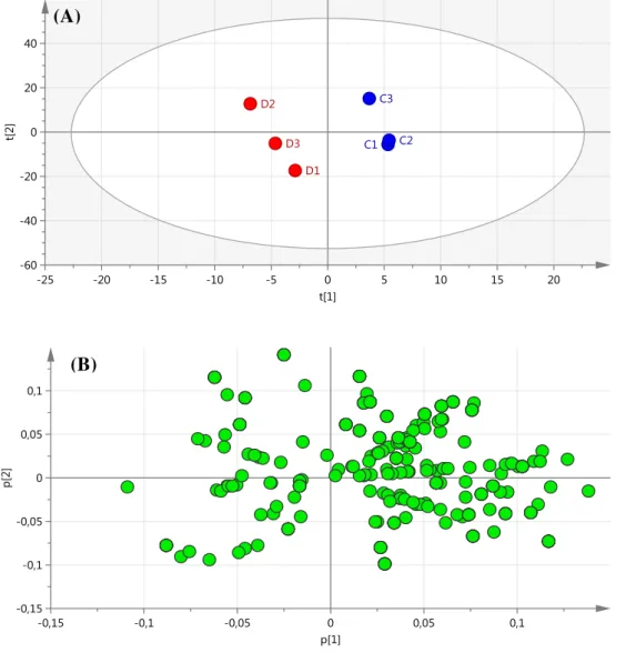 Figura 2.10  – (A) Score e (B) loading plot do modelo construído com PCA a partir dos dados  obtidos por eletroforese 2-DE para comparação de indivíduos controle ( ● C) e  doentes  com  câncer  de  bexiga  ( ● D)