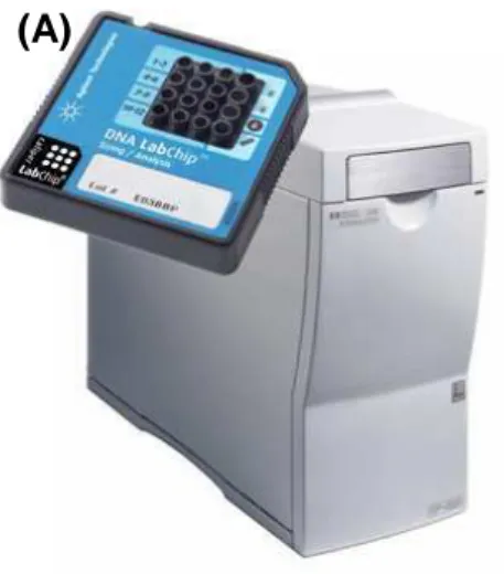 Figura 5. Fotos (A) do equipamento Bioanalyzer 2100 e um chip completo e (B) do  interior de um chip destacando a parte interior microfluídica  [86]