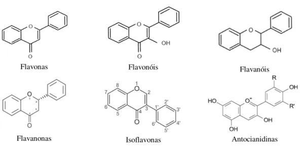 Figura 1.4  –  Estrutura básica de alguns tipos de flavonóides (adaptado de Martínez-Flórez et al., 2002)