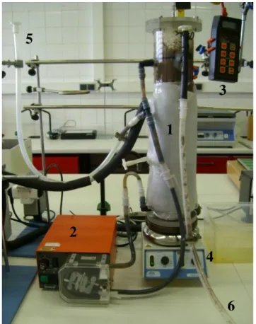 Figura 2.1 - Digestor mesofílico UASB com sistema de aquecimento por água quente, circulando numa  serpentina de silicone (1); Bomba peristáltica de alimentação e de recirculação de escumas (2); Sistema  de medição de temperatura no interior do digestor (3