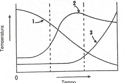 Ilustração 3.4 - Tempo de Cozedura (Azenha, 2005).