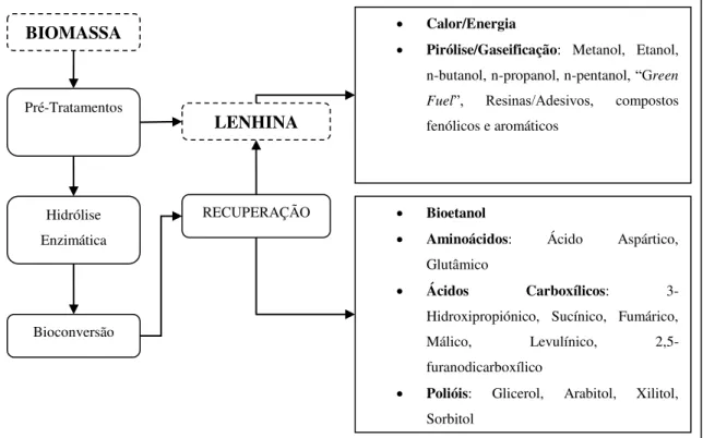 Figura 1.2 Integração da via bioquímica e termoquímica numa biorrefinaria e principais produtos de valor  acrescentado produzidos 