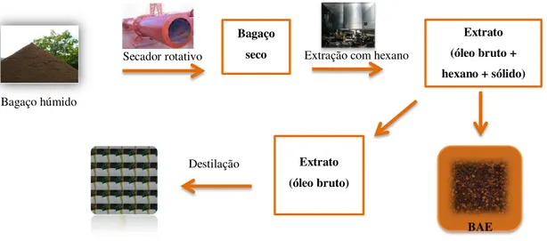 Figura 1.9 Esquema de recuperação de óleo a partir do bagaço de azeitona 