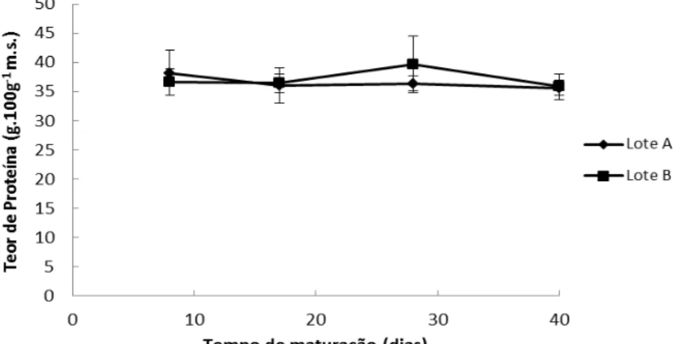 Figura  3.6  –  Valores  médios  ±  desvio  padrão  de  proteína  obtidos  nos  lotes  A  e  B  ao  longo  da  maturação