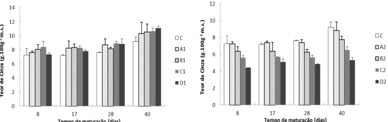 Figura 3.8 – Valores médios ± desvio padrão de cinza obtidos nos lote A e B relativos aos tratamentos  da salga utilizados ao longo da maturação