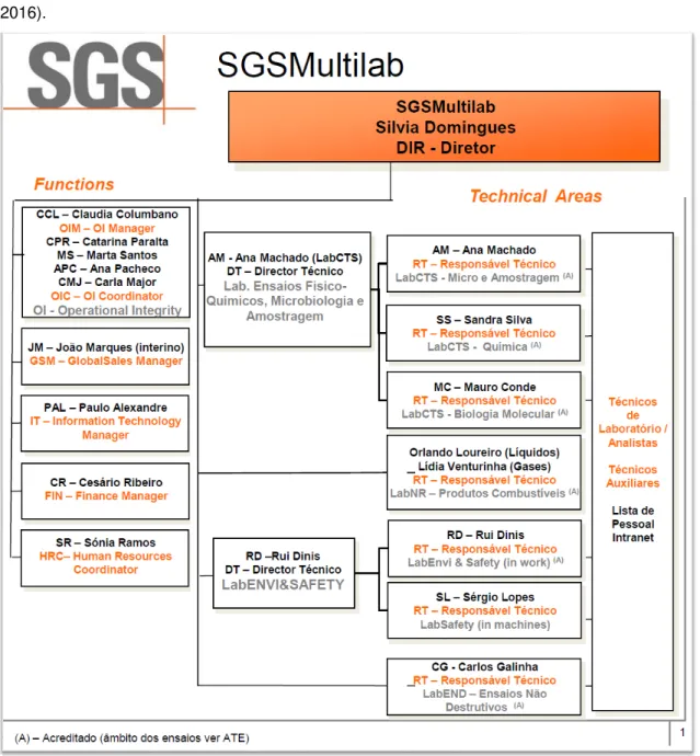 Figura 1.6: Organograma da SGS MultiLab Portugal (Adaptado de SGS, 2015a). 