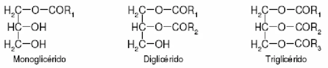 Figura 2-1 – Esquema dos três tipos de glicéridos em que R1, R2 e R3 representam grupos alquilo  constituídos por átomos de carbono e de hidrogénio (Felizardo, 2003)