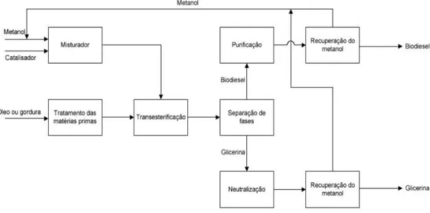 Figura 2-3- Processo de produção de biodiesel (Rodrigues, 2006) 