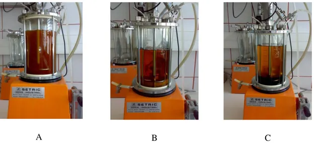 Figura 3-3  –  Produção de biodiesel  no reactor, em diferentes fases de processo (A- início da  transesterificação; B- Final da transesterificação; C- Final da transesterificação, após repouso) 