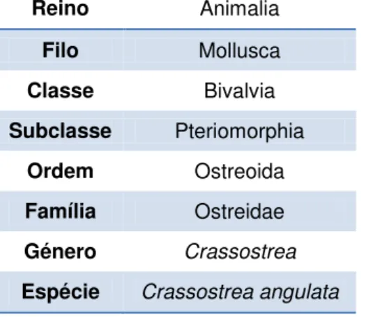 Tabela 1.3 - Hierarquia taxonómica da ostra portuguesa. Adaptado de ITIS, 2012 (http://www.itis.gov/)