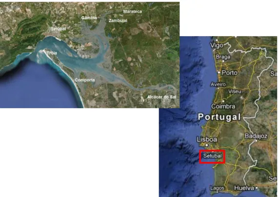 Figura 1.9 - Representação da localização do estuário do Sado (adaptado de Google Earth TM )