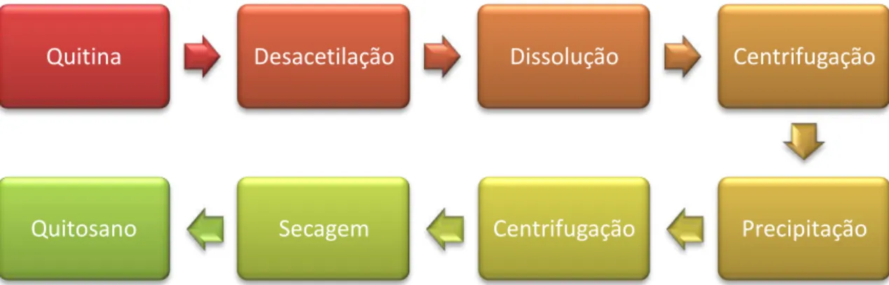 Figura 1.10: Fluxograma simplificado relativo à produção do quitosano (Adaptado de: Moura et al, 2006)