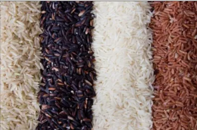 Figura 4.2 – Vários tipos de arroz: da esquerda para a direita: arroz vaporizado, arroz negro, arroz agulha,  arroz vermelho
