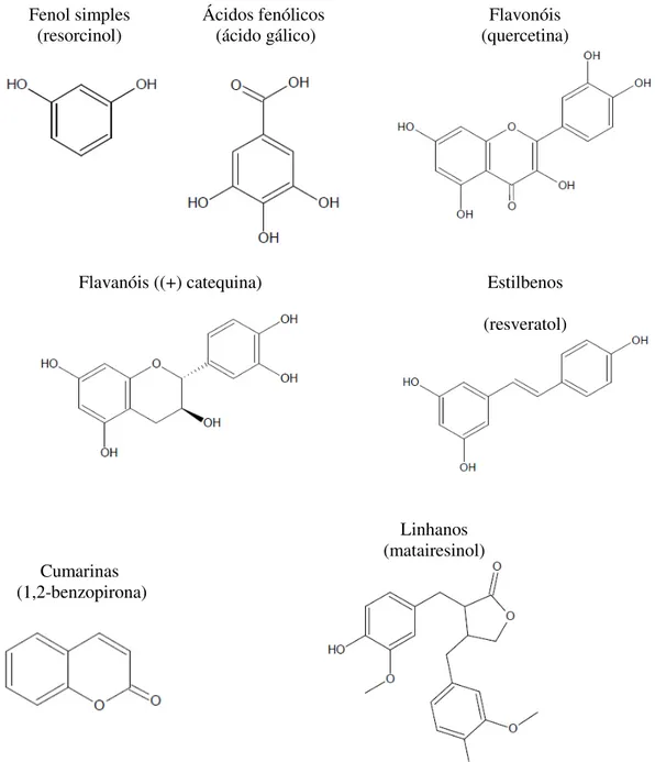 Figura 2.3- Estrutura básica de alguns compostos fenólicos (Adaptado de Apak et al., 2007)