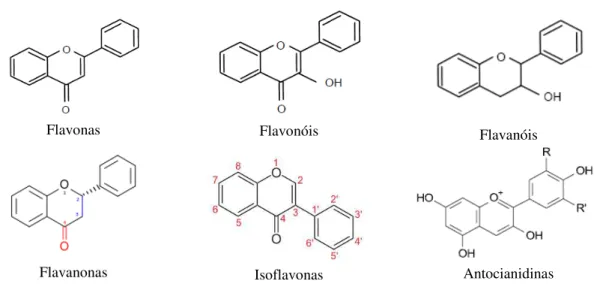 Figura 2.5 - Estrutura básica de alguns tipos de flavonoides (adaptado de Martínez-Flórez et al., 2002)