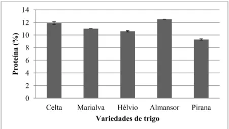 Figura 3.6-  Percentagem de proteína das sêmolas e farinhas das diferentes variedades de trigo: duro  (Celta, Marialva e Hélvio) e mole (Almansor e Pirana) (média ± desvio padrão).