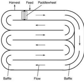 Figura 1.4.  –  Diagrama de uma lagoa raceway (Chisti, 2007) 