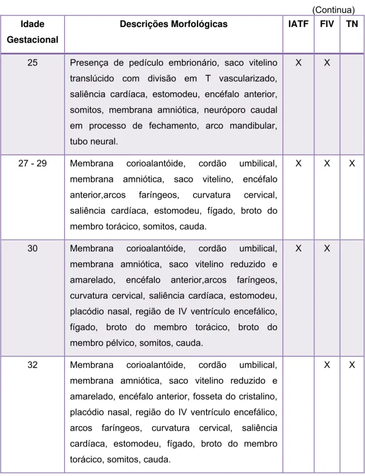 Tabela  4-  Idade Gestacional e descrições morfológicas dos embriões  provenientes das técnicas de IATF, FIV, TN - São Paulo – 2010 
