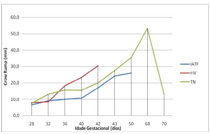 Gráfico 2 -  Crescimento e desenvolvimento (Crown Rump) X idade gestacional de  embriões bovinos IATF, FIV, TN