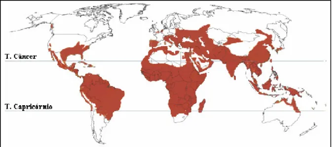 Figura 2. Malária no mundo em 1946. A área vermelha representa aproximadamente as regiões onde a  malária era endêmica nesta data (40)