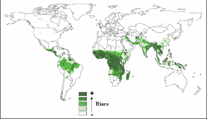 Figura 3. Malária no mundo em 2002. As cores representam o risco de transmissão nas diferentes regiões do  planeta(50)