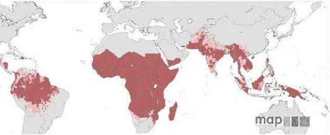 Figura 4. Mapa de risco de malária causada por P. falciparum definido pela incidência anual do parasita em  2007 (51) (quanto mais escura a cor, maior o risco)
