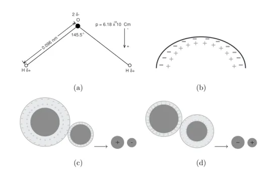 Figura 1.6: (a) Esquema de uma mol´ecula de ´ agua, ilustrando o momento de dipolo permanente