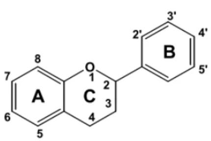 Figura 1.3 - Estrutura básica dos flavonóides (Gomes, 2010). 