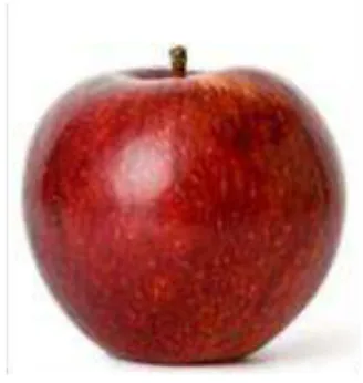 Figura 1.8 - Aspecto da maçã Starking. 