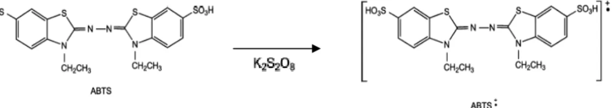 Figura 2.6 - Reação de formação do radical catião ABTS. 