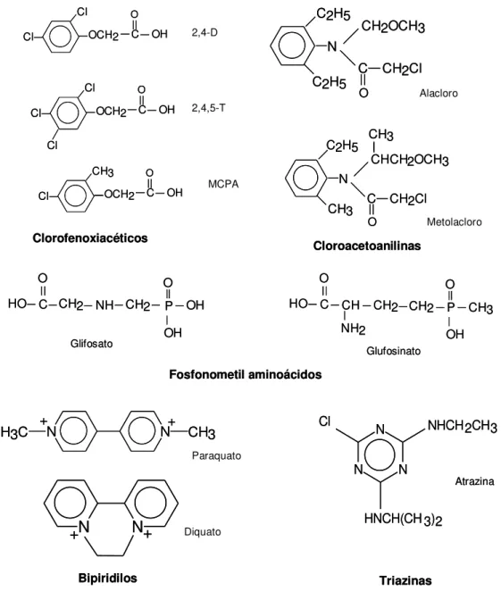 Figura 2:7 Estruturas de alguns herbicidas mais comuns, 2,4-D  –  ácido 2,4- 2,4-diclorofenoxiacético, 2,4,5-T  –  ácido 2,4,5-tricloroacético e MCPA  –  ácido 