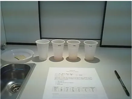 Figura 2.1- Cabine de provas para a análise sensorial dos sumos maçã. 