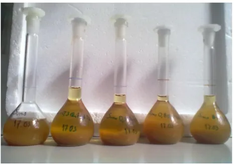 Figura 3.1.1- Da esquerda para a direita: amostras de sumo sem adição de solução e amostras de sumo com  adição  de  4  concentrações  de  quitosano  em  solução  de  ácido  acético  5%:  0,3g/L,  0,5g/L,  0,8g/L  e  1g/L,  respectivamente