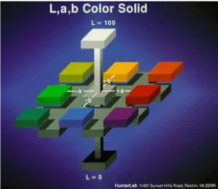 Figura 1.2. Representação da cor sólida no espaço L*a*b* ( Minolta, 1994). 