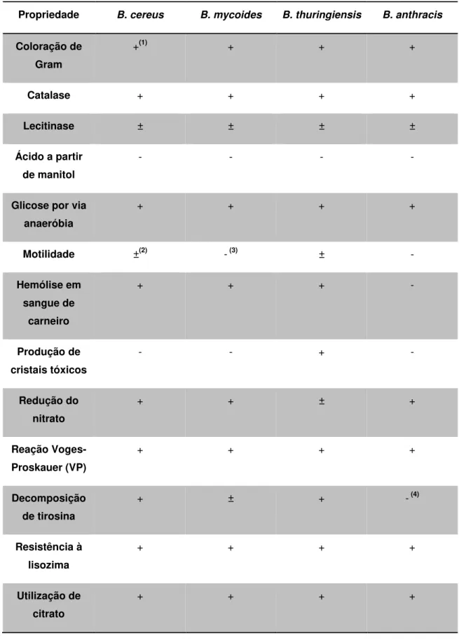 Tabela  2.1:  Características  diferenciais  de  espécies  do  grupo  de  Bacillus  cereus  (Adaptado  de: 