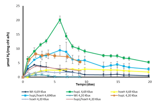 Figura 3.1  –  Efeito da intensidade da luz na produção de Hidrogénio pelas culturas de Anabaena sp