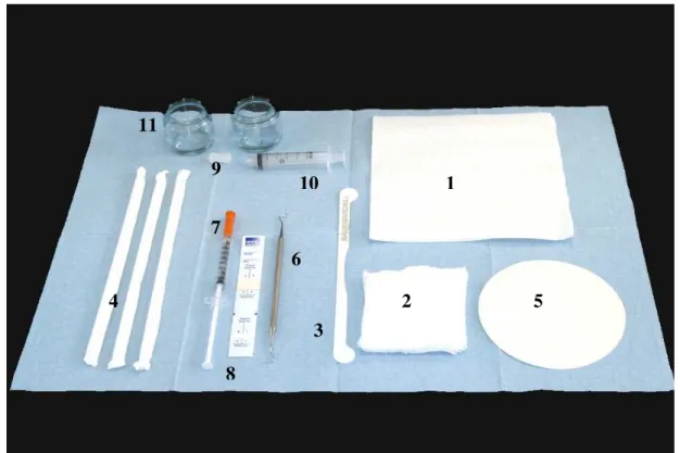 Figura  01:  Mesa  de  atendimento  do  paciente:  1)  guardanapo;  2)  gaze;  3)  limpador de língua; 4) canudos; 5) papel filtro; 6) colher de dentina; 