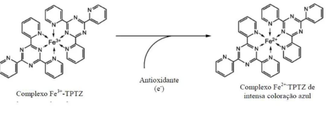 Figura 2.1 - Formação do complexo (Fe 3+ -TPTZ) após redução do Fe 3+  por um antioxidante  (adaptado de Prior et al., 2005)