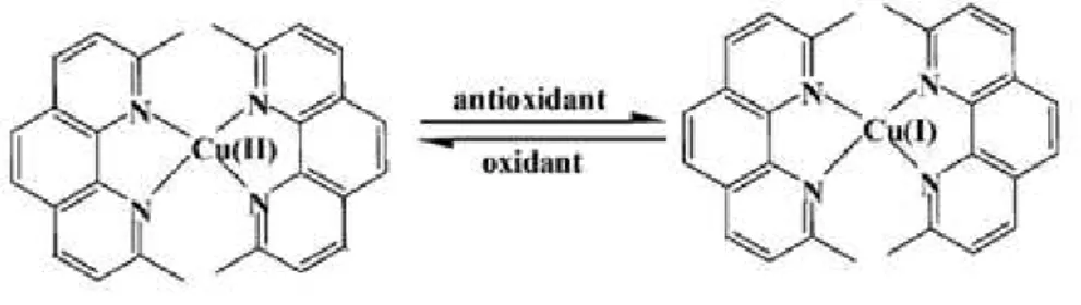 Figura 2.2 – Redução do Cu(II) para Cu(I) por acção de antioxidantes